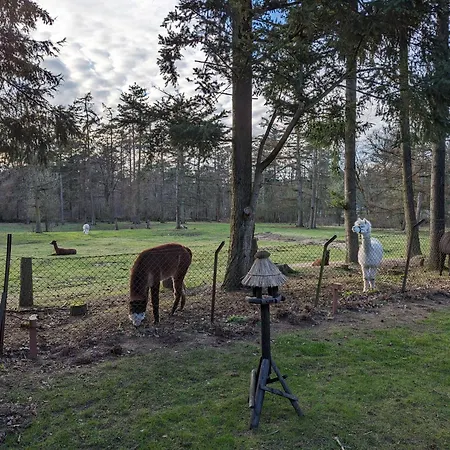 פארק נופש Boshuis Hoeve De Zuidrand