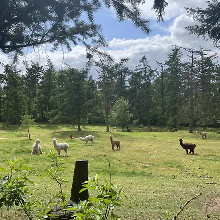 Boshuis Hoeve De Zuidrand