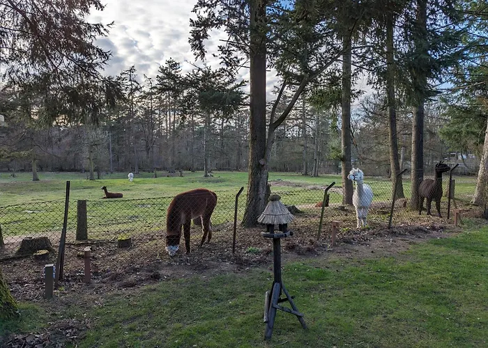 Vakantiepark Boshuis Hoeve De Zuidrand