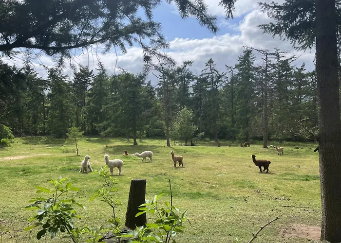 Boshuis Hoeve De Zuidrand